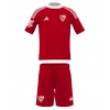 Camisa de Futebol Sevilla Equipamento Secundário Infantil 2025-26 Manga Curta (+ Calças curtas) Camisa de Futebol Sevilla Equipamento Secundário Infantil 2025-26 Manga Curta (+ Calças curtas)